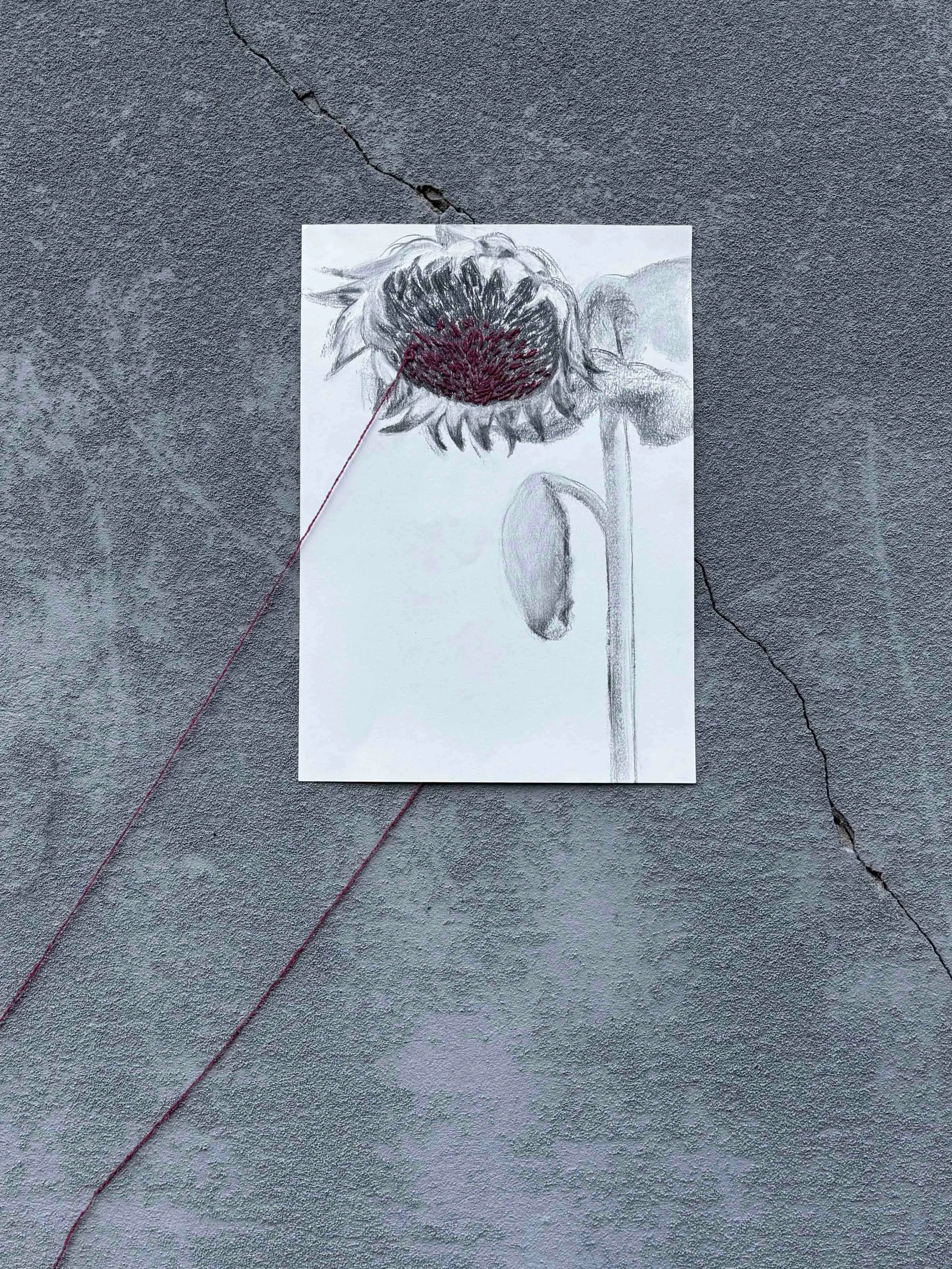 Kintsugi of the Earth, image 5